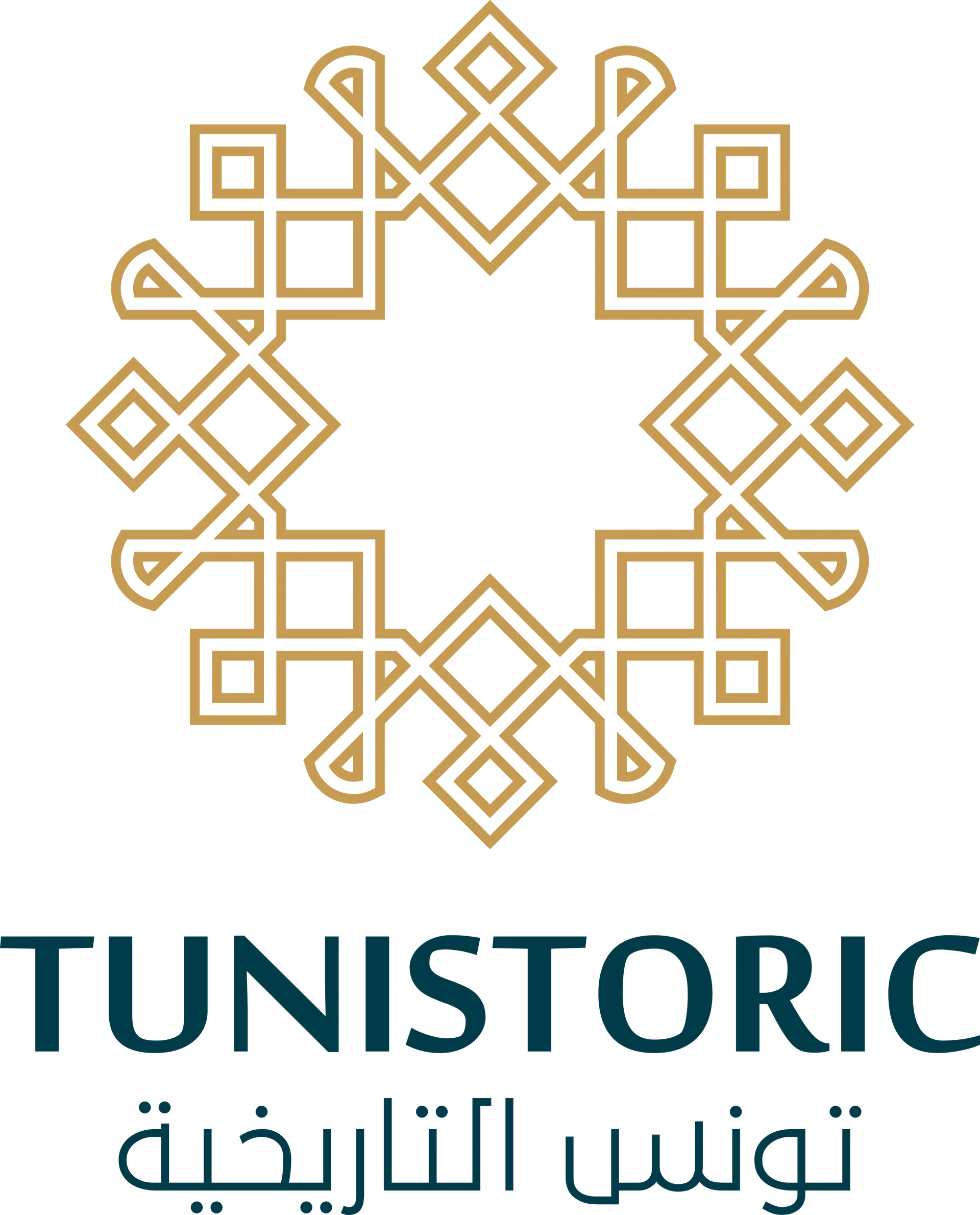 Tunistoric
